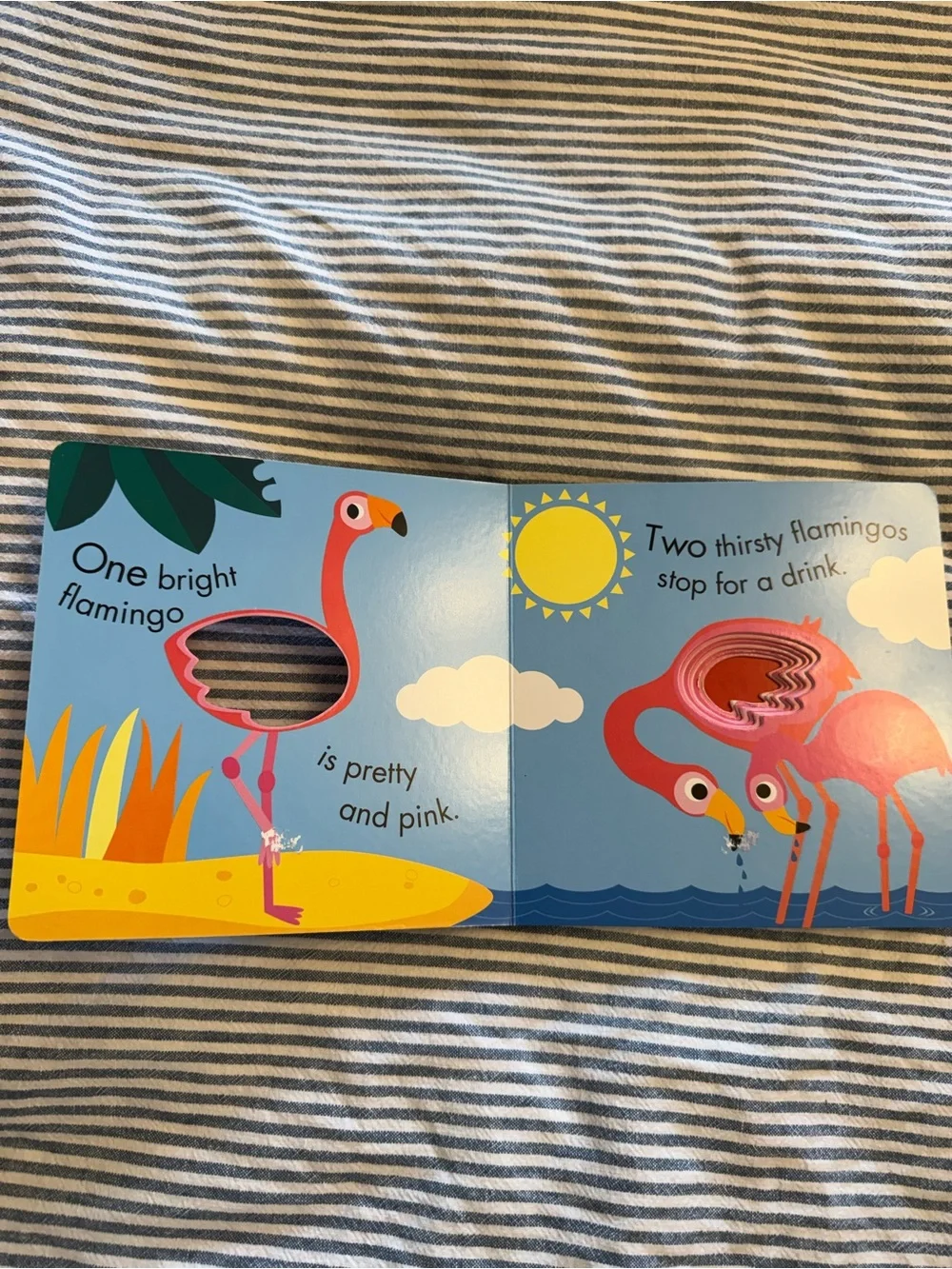 3 board book bundle